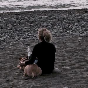 Meet your Posher, Sonne